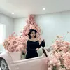 phuonghoangdaily