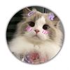 alauddin.miya65