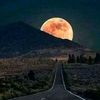 malik_31520