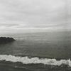 amino_044