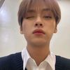 straycamss