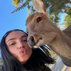 bigdeerfan