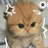 nanoy_07