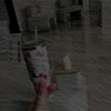 amna______18