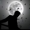 shabirkhan3742