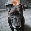 sophieduffy_123