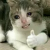 tongtaiskibidi4