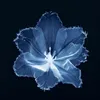 its_me_selena0