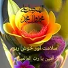 rehana.saddal4