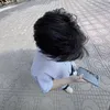 fox_small5