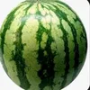 arbuzni_arbuz