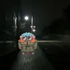 eisjdurycj1