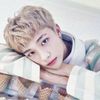skz_505