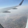 roos_1377