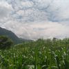 thapapritha8