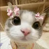 chriziaangelaa