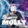 molly_metro