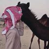 aboyysef
