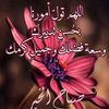 .mohamed.alaa29