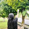 aniszcx.1526hoaneylsss