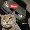 gato.lamborghini