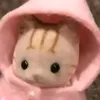 amandanoemii44