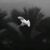 𝐍𝐎𝐎𝐑 || نـــور