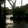 lathifa_yan