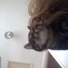 grace.harvey522