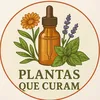 Plantas que curam oficial🍃