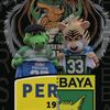 pppaes29