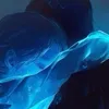 ra_21.0