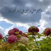 istorekerkuk712