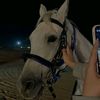 samii.gcl
