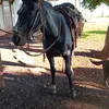 claudioveron36