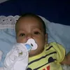silvaneide882470