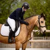 lunn_horse