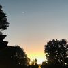 altheda_mar