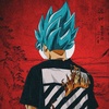 goku_6798