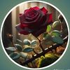 abid.ali.5860