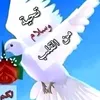 user48491956168200