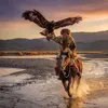 منوعات بلاس