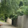 aaabackup2