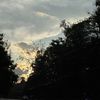 yin4904www.tiktok.comtom