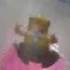 comerammeucerebro