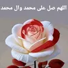 wisamalbasrawi967