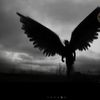 skibidi_noah6