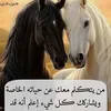 user8781237487392