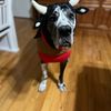 winsome.waylon