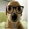 damaris.gutirrez210